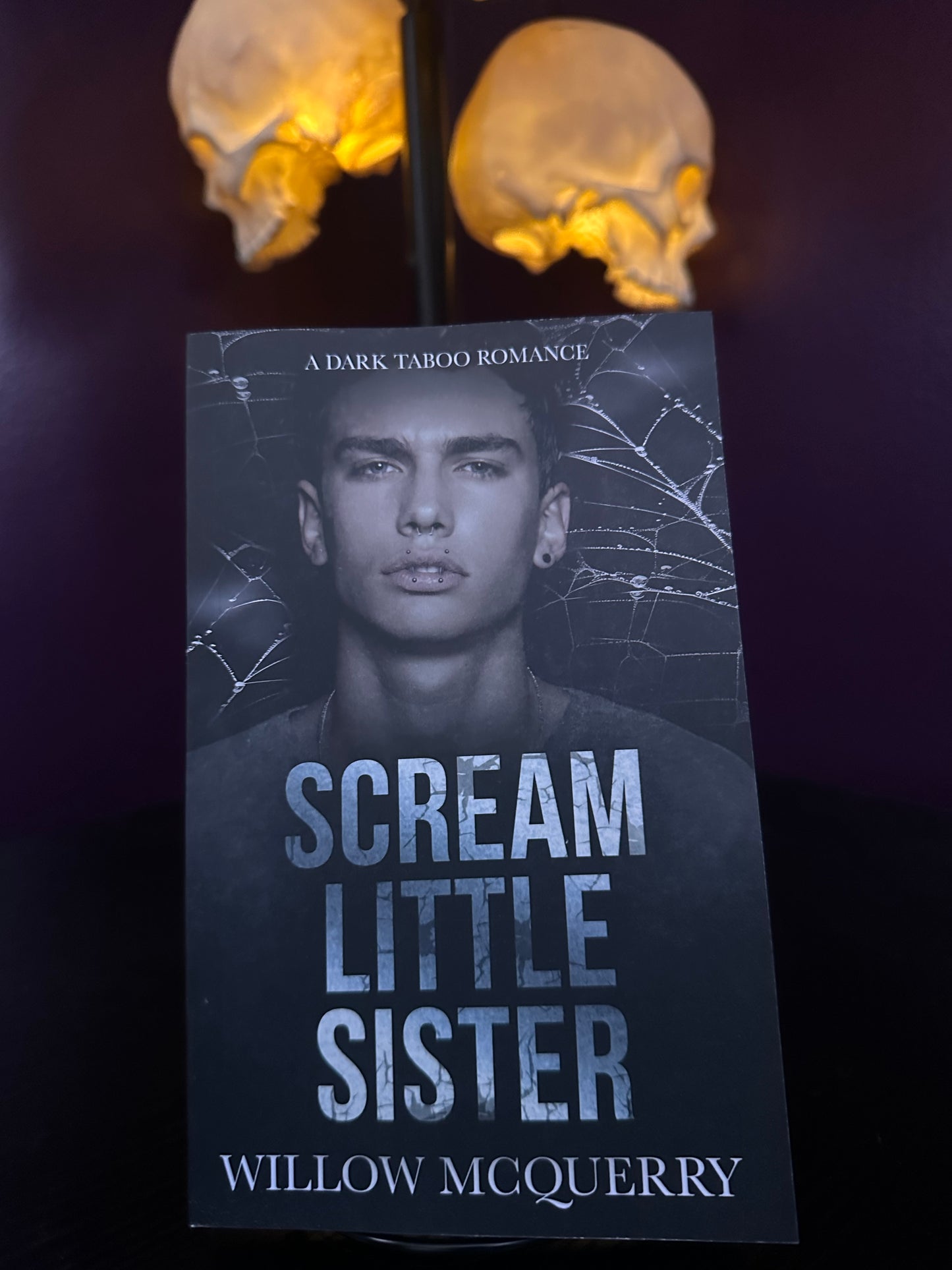 Scream Little Sister by: willow Mcquerry